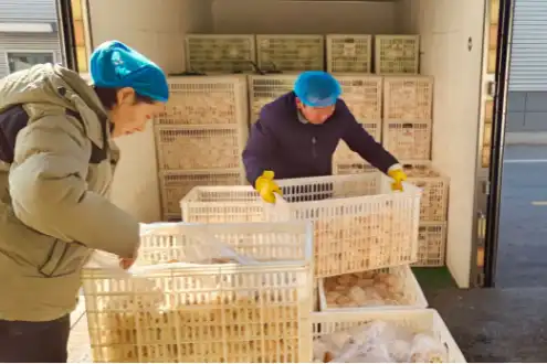 Raw material procurement and inspection