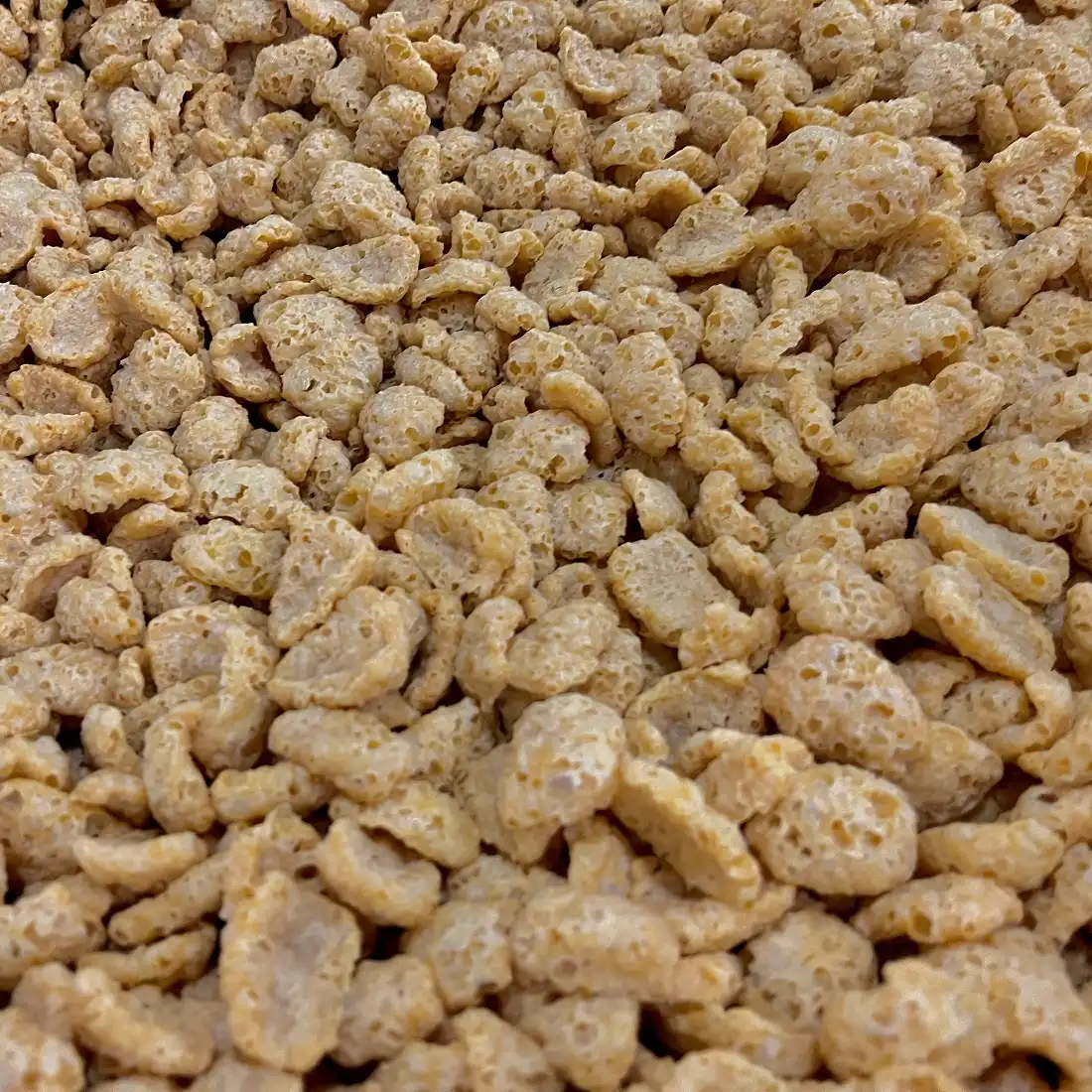 Expanded Soy-based Products Expanded Soy-based Products