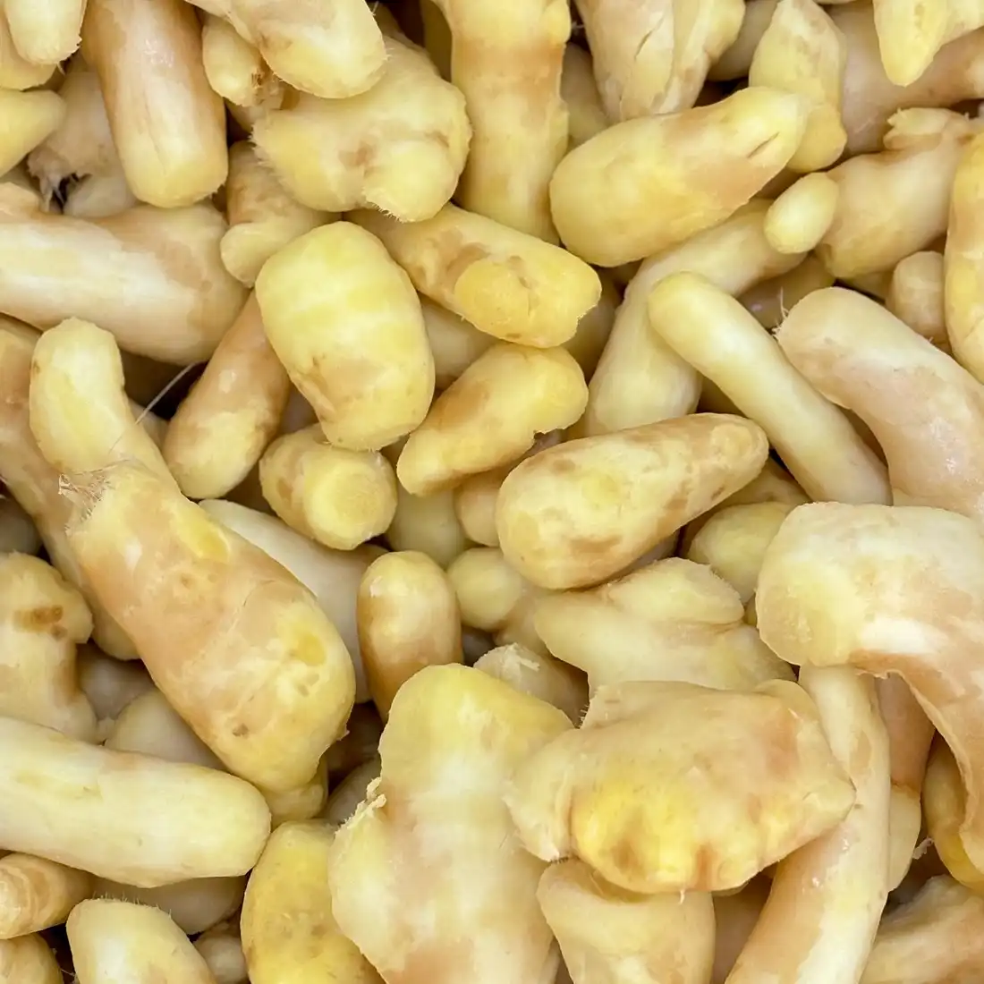 minced ginger minced ginger