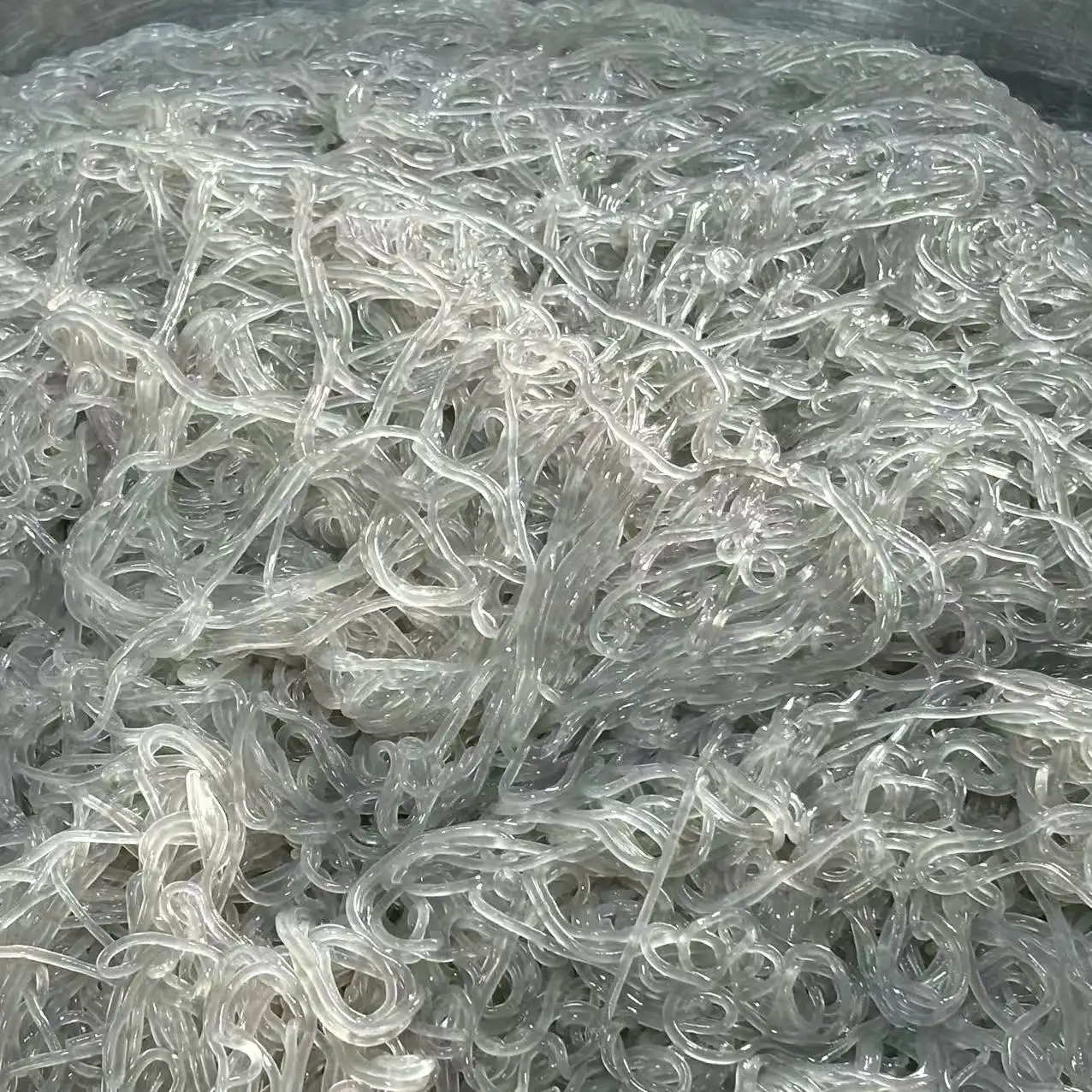 Vermicelli Vermicelli