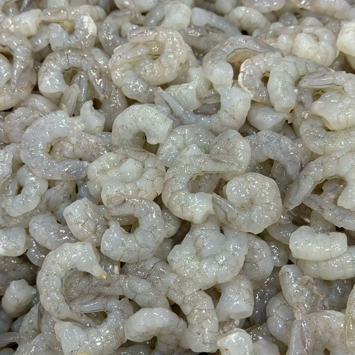 Fresh shrimps Fresh shrimps