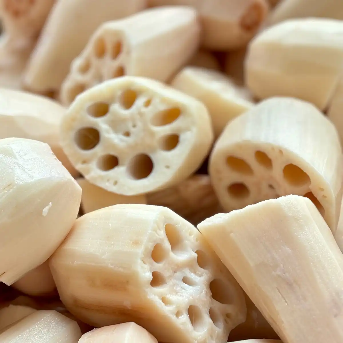 lotus root lotus root