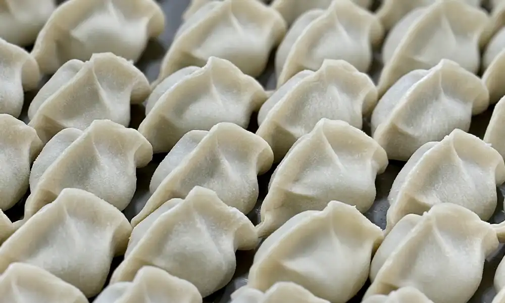 Beef and scallions dumplings