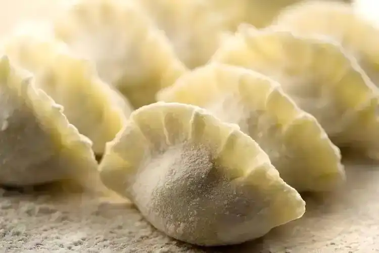 Allium mongolicum Regel and camel meat dumplings Allium mongolicum Regel and camel meat dumplings