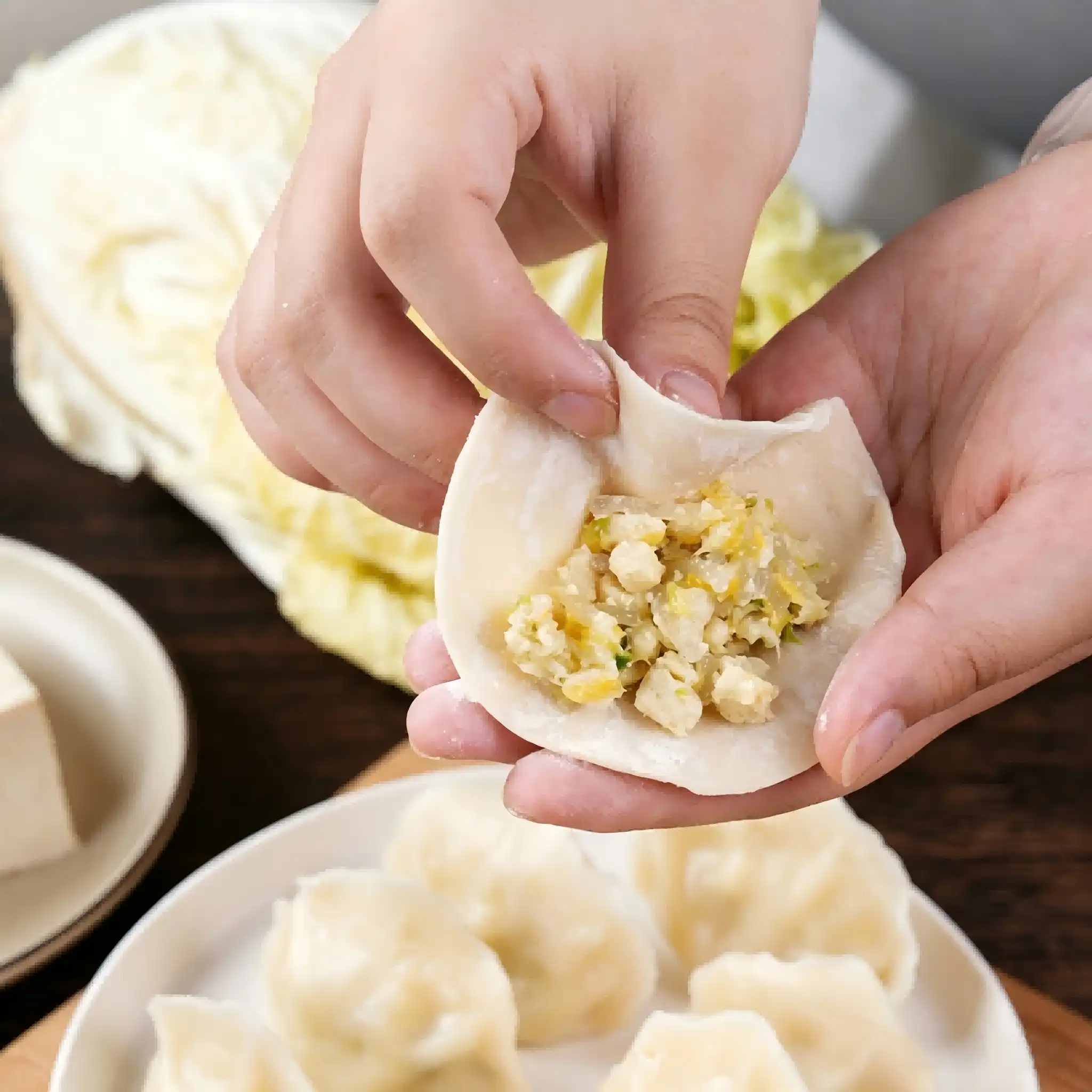 Chinese cabbage and Tofu dumplings