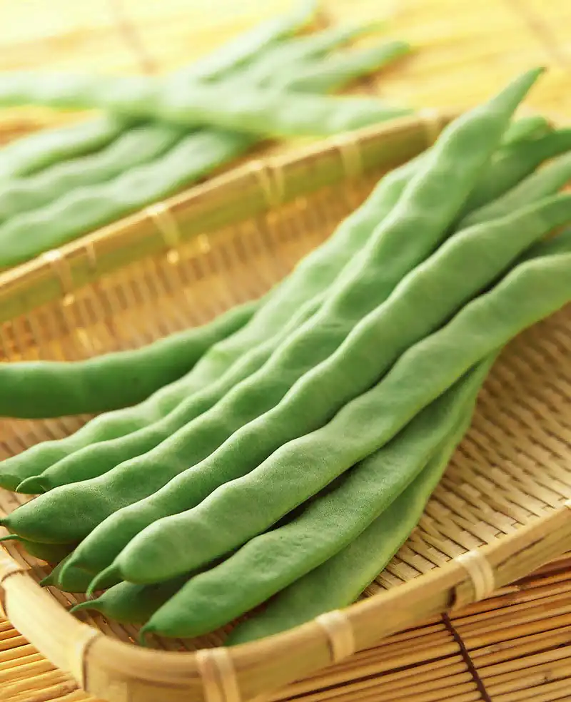 kidney bean kidney bean