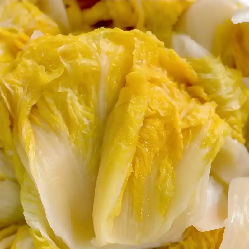 Pickled Chinese Cabbage Pickled Chinese Cabbage